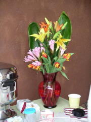 Arrangement & Photo by Robb Heckel