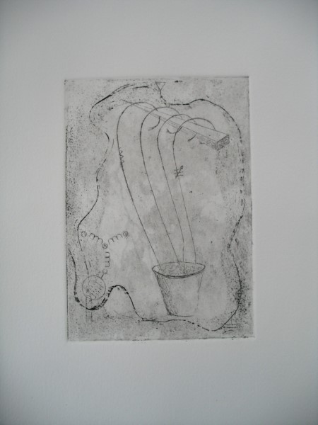 Intaglio: etching, open bite, dry point - Artist Proof 1